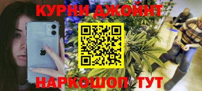 сатива Новодвинск